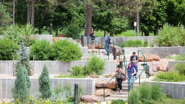 scenic outdoor path