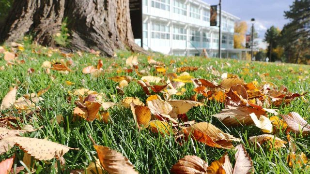 Cragmor Hall with fallen Autumn leaves in the foreground