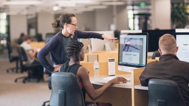 Librarian helping student at a PC workstation