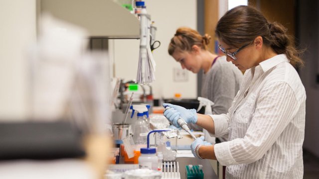 students working in science lab